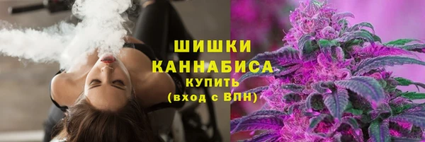 дмт Горно-Алтайск