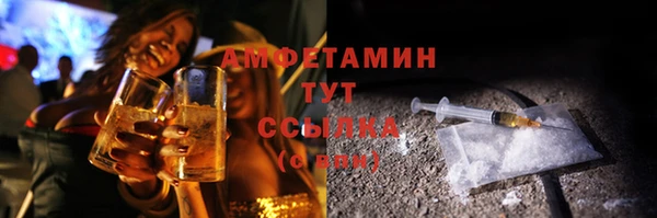 Альфа ПВП Горняк