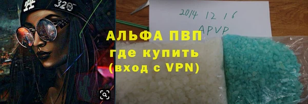 Альфа ПВП Горняк