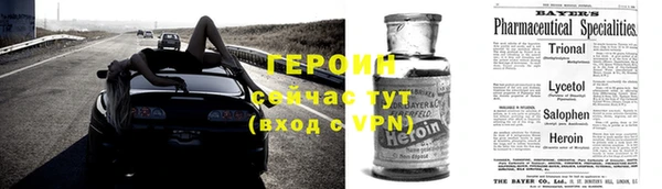 гашик Туринск