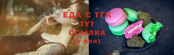 гашик Туринск