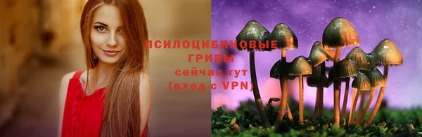 дмт Горно-Алтайск