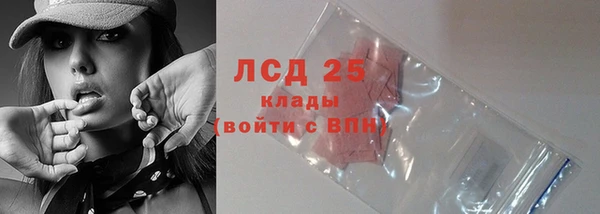 Альфа ПВП Горняк