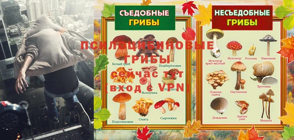 дмт Горно-Алтайск