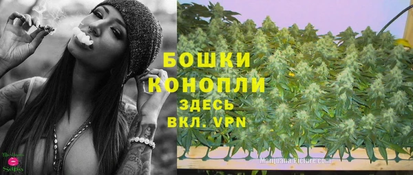 Альфа ПВП Горняк