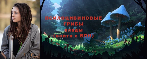 хмурый Горнозаводск